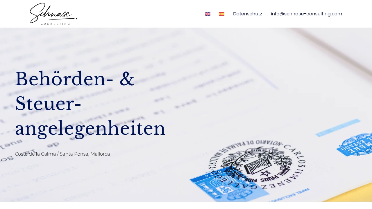 Schnase Consulting Cover
